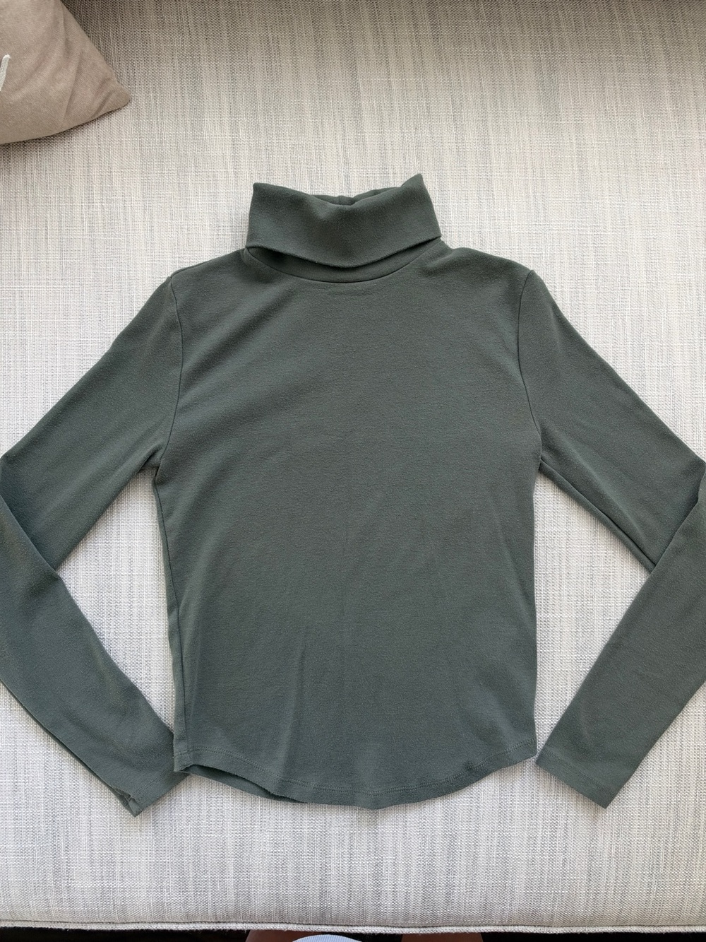 Aritzia Sunday Best green turtle neck